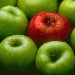 export jabłek