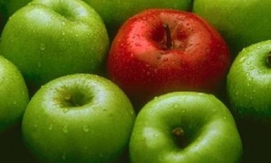 export jabłek